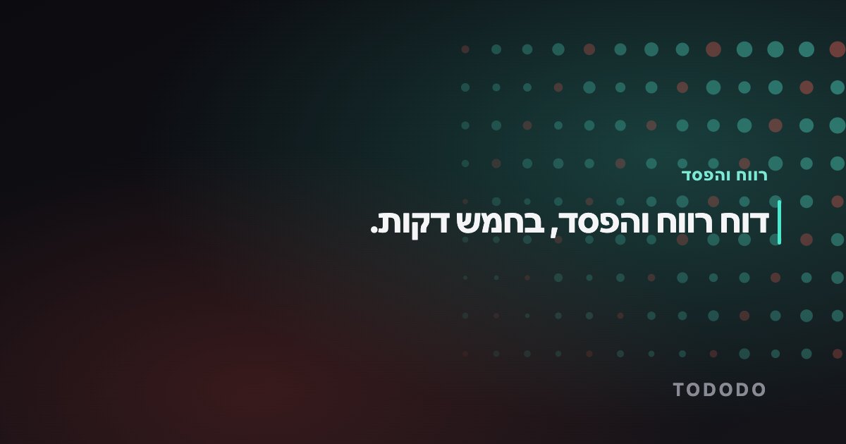 דוח רווח והפסד, בחמש דקות.